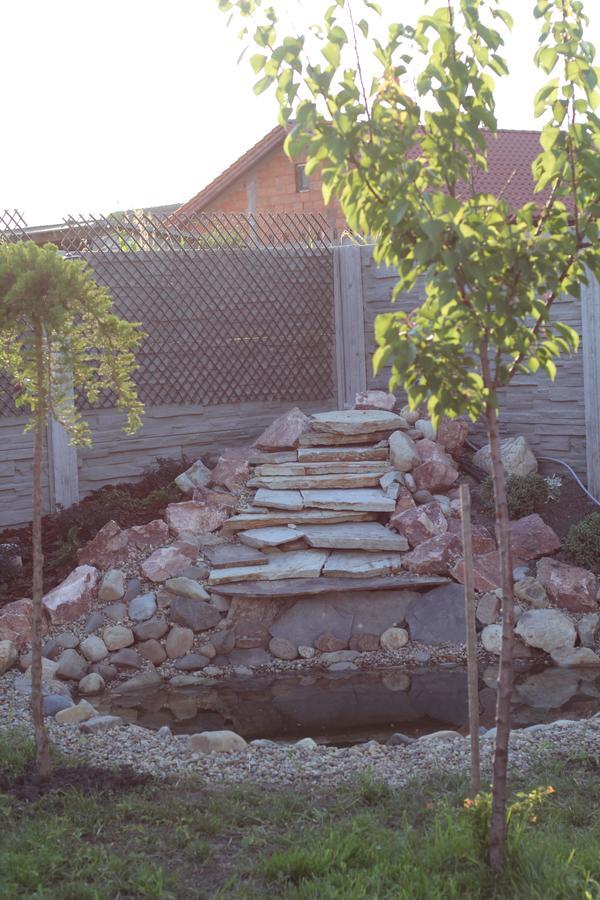 Pensiunea Gradina Verde Becicherecu Mic Exterior foto